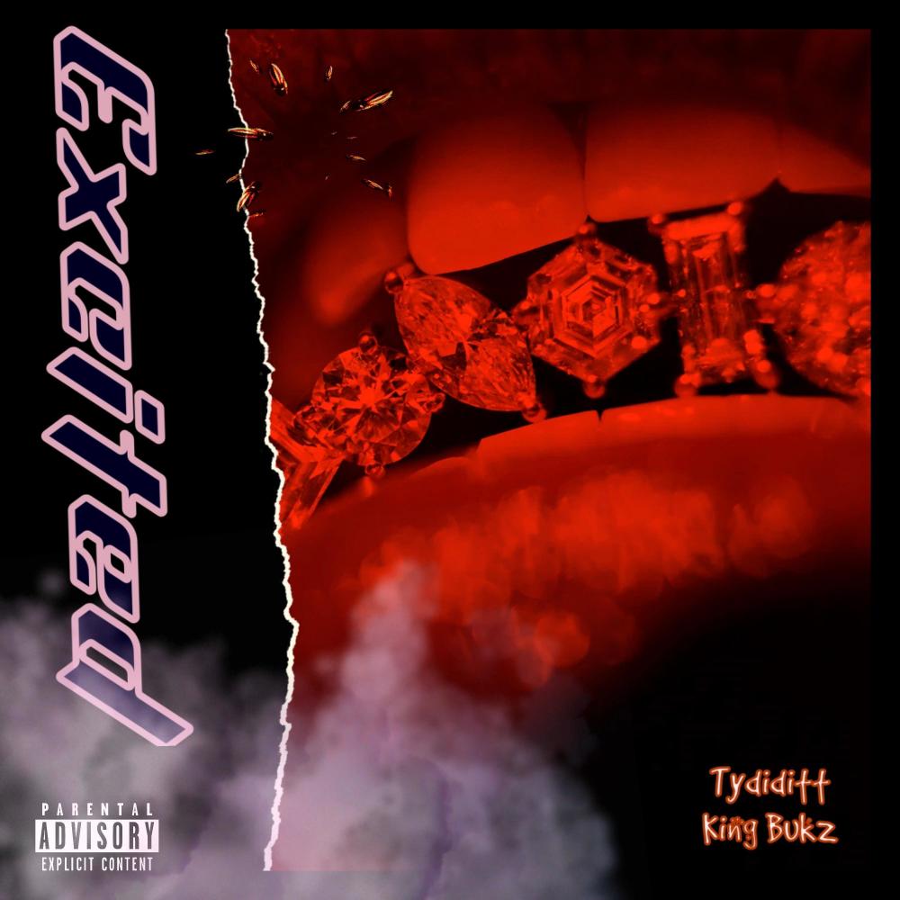 Excited (feat. King Bukz) (Explicit)