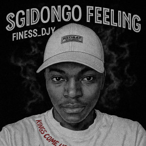 อัลบัม Sgidongo Feeling ศิลปิน Finess_Djy