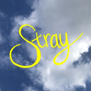 Gouge Away的專輯Stray