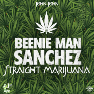 Listen to Straight Marijuana (Instrumental) song with lyrics from John John