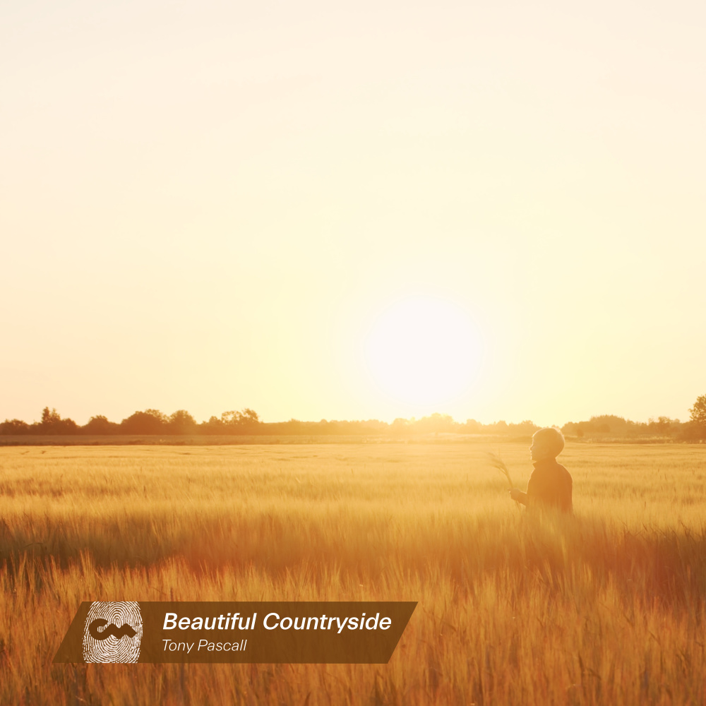 Beautiful Countryside