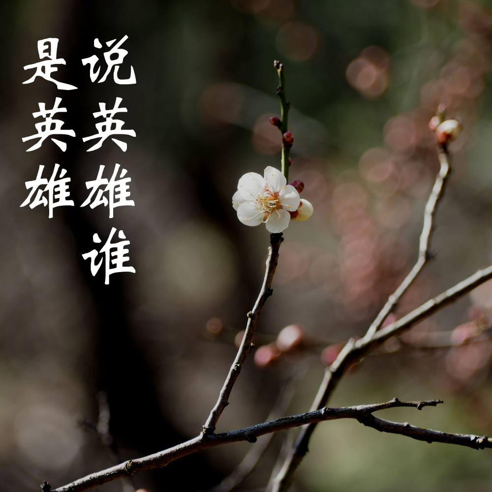 说英雄谁是英雄