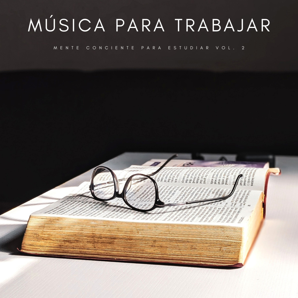 Concentración Del Estudio