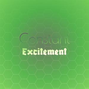 อัลบัม Constant Excitement ศิลปิน Various