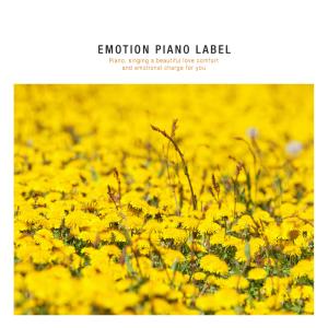 Album Happy New Age Piano for a Relaxation from Group Star