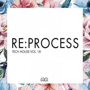 Various Artists的專輯Re:Process - Tech House, Vol. 19