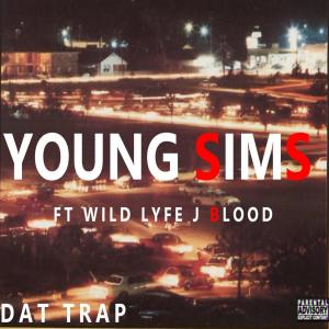 Listen to DAT TRAP (Explicit) song with lyrics from Young Sîms