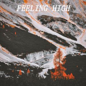 Album Feeling High (feat. ROMES) (Explicit) oleh Romes