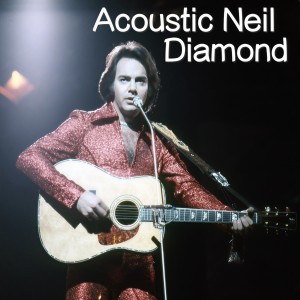 ดาวน์โหลดและฟังเพลง Love On The Rocks พร้อมเนื้อเพลงจาก Neil Diamond