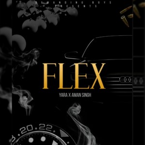 ดาวน์โหลดและฟังเพลง Flex พร้อมเนื้อเพลงจาก Yara