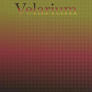 Album Velarium from Various Artists