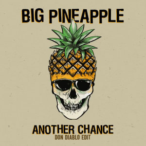 收聽Big Pineapple的Another Chance (Don Diablo Edit)歌詞歌曲