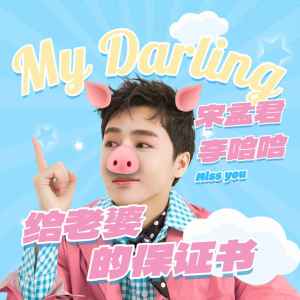 Album 给老婆的保证书（DJ版） from 宋孟君