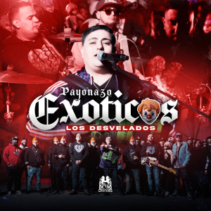 Listen to Payonazo Exoticos song with lyrics from Los Desvelados