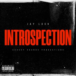 Jay Luck的專輯Introspection (Explicit)