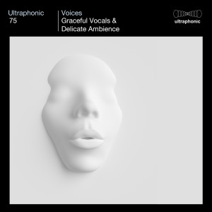 Knightstown的專輯Voices