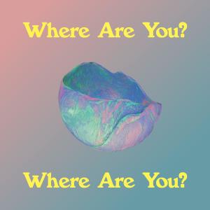 Listen to Where Are You? Where Are You? song with lyrics from BLEU HOUSE