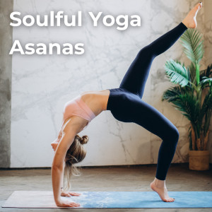 Mohicans的專輯Soulful Yoga Asanas