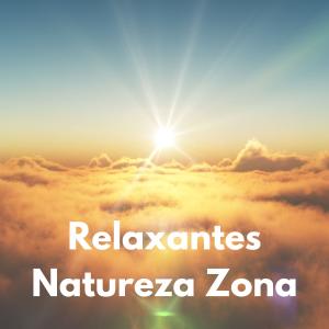 Relaxantes Natureza Zona的專輯Desejo Realista