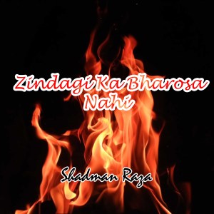 收聽Shadman Raza的Mola Abbas Ki Shadi歌詞歌曲