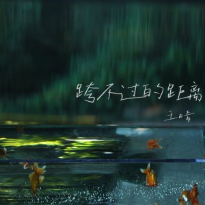 Album 跨不过的距离（我明明还是会突然想起你） from 王晴
