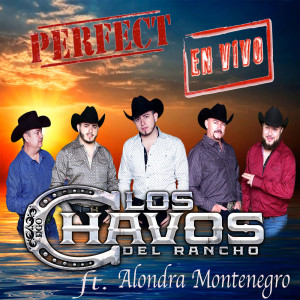 Listen to Perfect (En Vivo) song with lyrics from Los Chavos Del Rancho