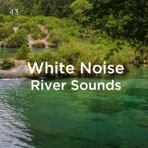 Dengarkan lagu White Noise Waterfall nyanyian White Noise dengan lirik