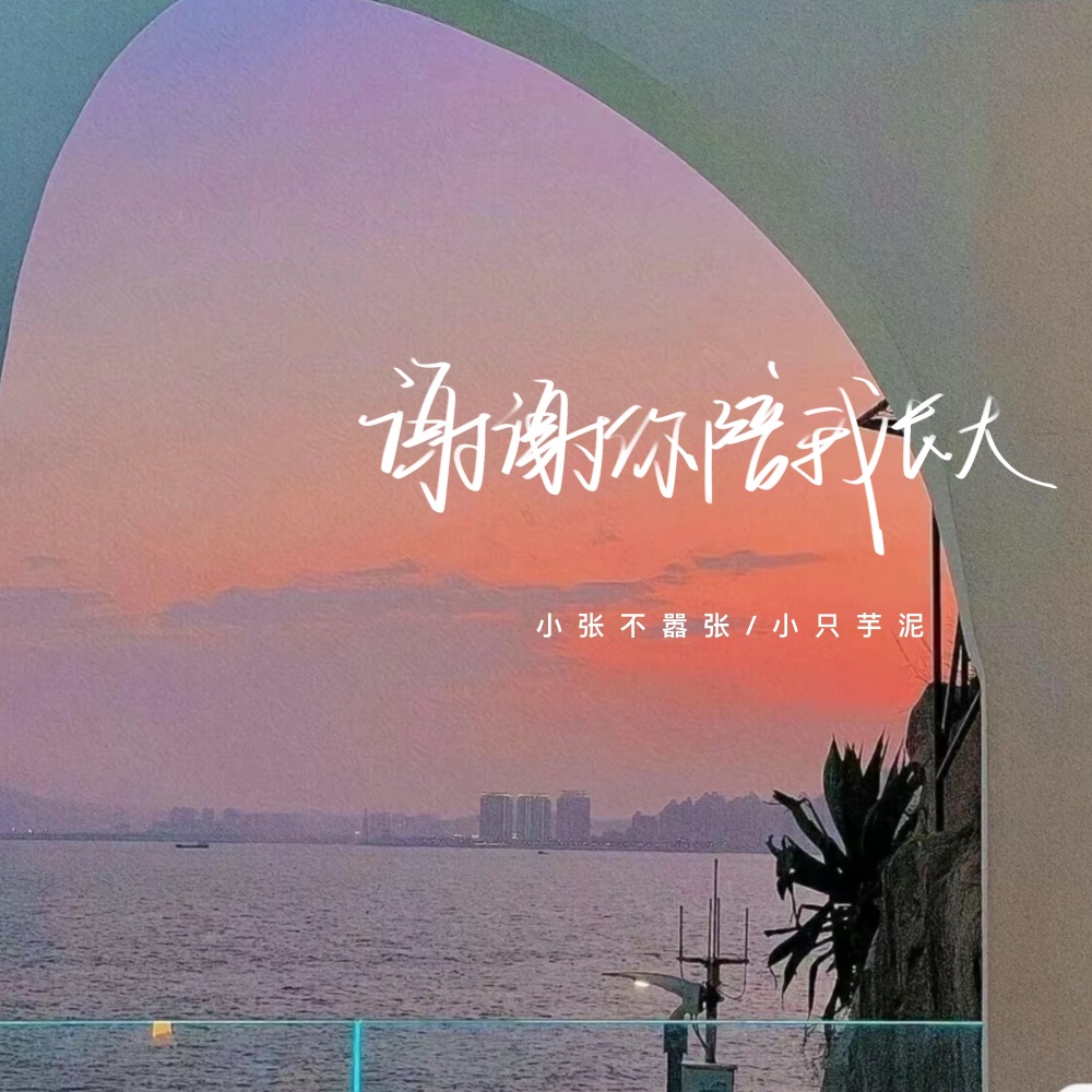 谢谢你陪我长大 (伴奏)