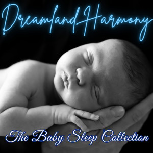 Sleep Sound Factory的專輯Dreamland Harmony - The Baby Sleep Collection