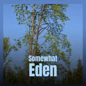 Listen to Complimentary Several song with lyrics from Edid Mhle
