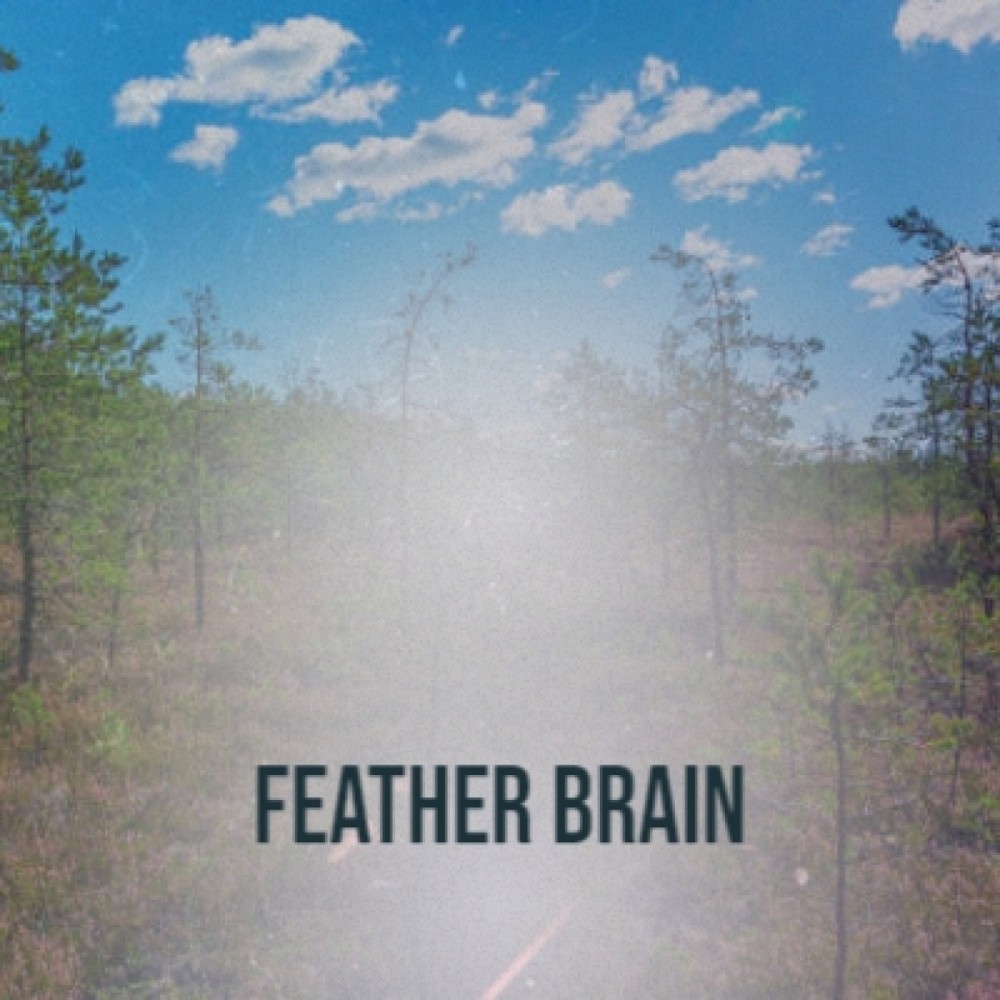 Feather Brain