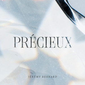 Album Précieux from Jérémy Besnard