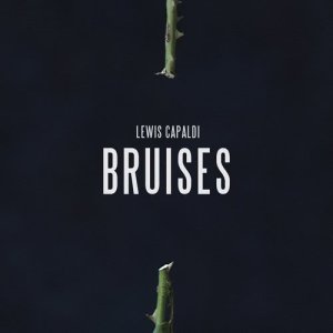 ดาวน์โหลดและฟังเพลง Bruises พร้อมเนื้อเพลงจาก Lewis Capaldi