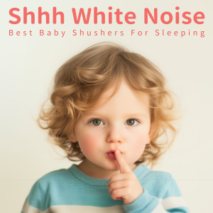 貴族音樂 (Noble Music)的專輯噓噓聲白噪音 最適合嬰兒寶寶的睡眠噓噓音效