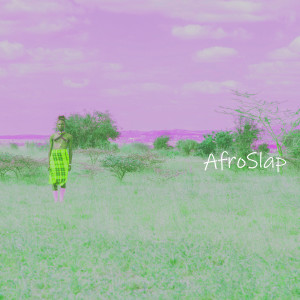 Album Afro Slap from Don Kody