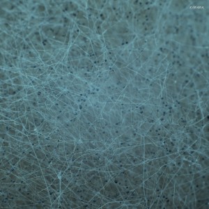 Listen to Demodulation song with lyrics from Trucker Cobb