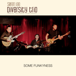 Listen to Diversity (Live) song with lyrics from Johan Leijonhufvud Trio