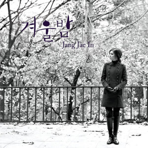 Listen to 겨울밤 song with lyrics from 张在仁