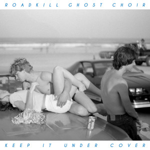 收听Roadkill Ghost Choir的Everywhere歌词歌曲