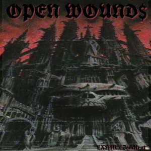 收听IAmKrut的Open wound$ (Explicit)歌词歌曲