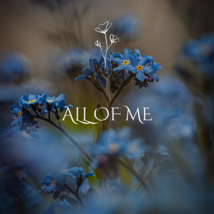 Album All of me (Lofi) from Toby Gad