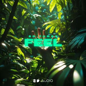 Album Feel from 