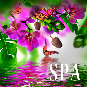 Album Spa (Musique instrumentale relaxante pour le massage, La méditation, Le sommeil) from Espace Detente