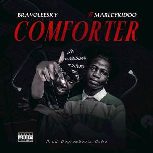 Bravoleesky的專輯Comforter