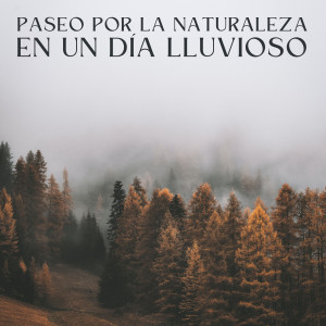 Album Paseo Por La Naturaleza En Un Día Lluvioso oleh Sonido de lluvia ricky