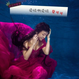 收聽夏可可的心痛愛的太遲歌詞歌曲