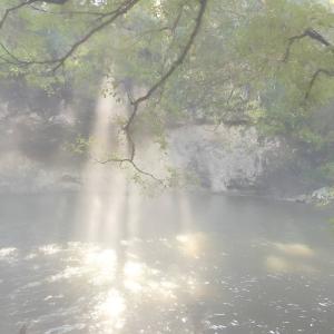 Listen to Coastal Breeze song with lyrics from Suave