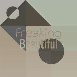 Listen to Tassie Geek song with lyrics from Donail Gret