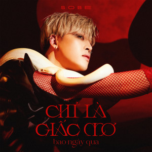 Listen to Chỉ Là Giấc Mơ Bao Ngày Qua song with lyrics from Sobe