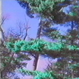 收听FLOOMED的WINTERN TIMES歌词歌曲